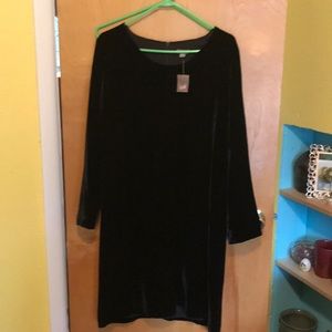 Beautiful velvet shift